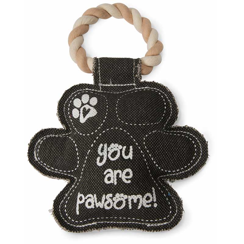 You Are Pawsome Canvas Dog Toy from Pavilion