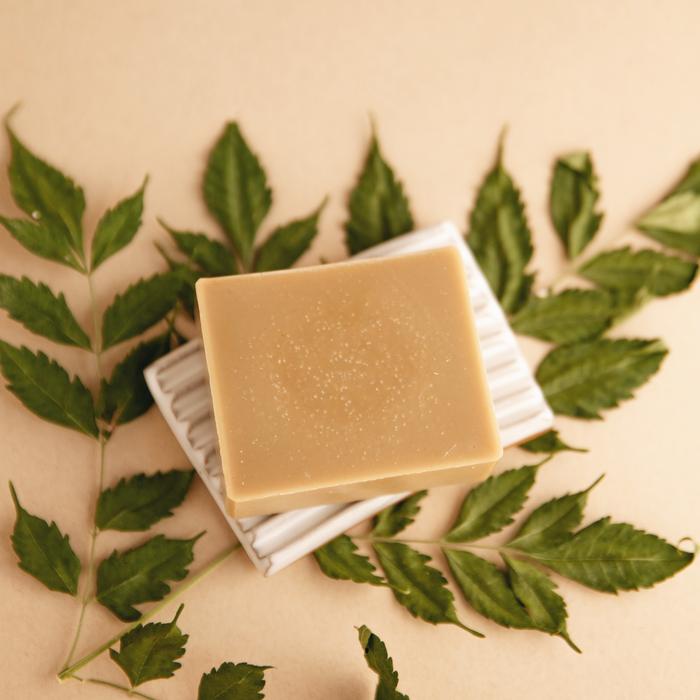Forest Bathing Natural Bar Soap