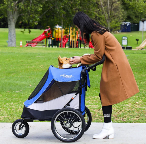 Trailblazer Pet Jogger