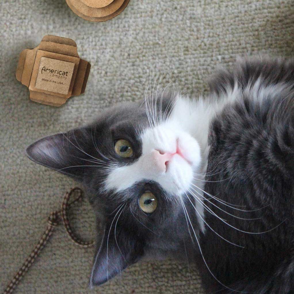 Cat Toy Balls are safe for your cat and the environment