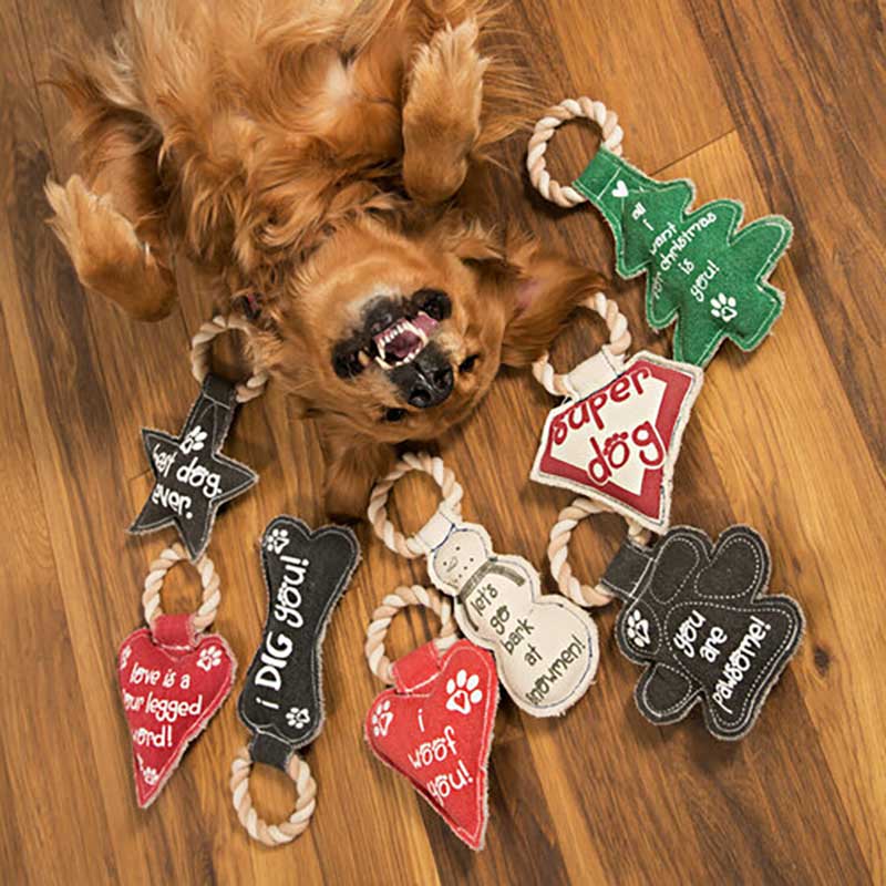 You Are Pawsome Canvas Dog Toy and collection from Pavilion